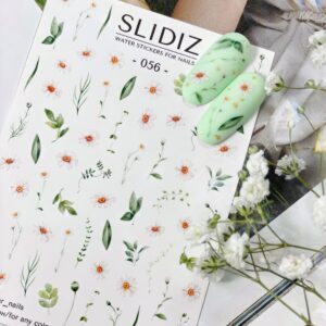 import placeholder for 1811