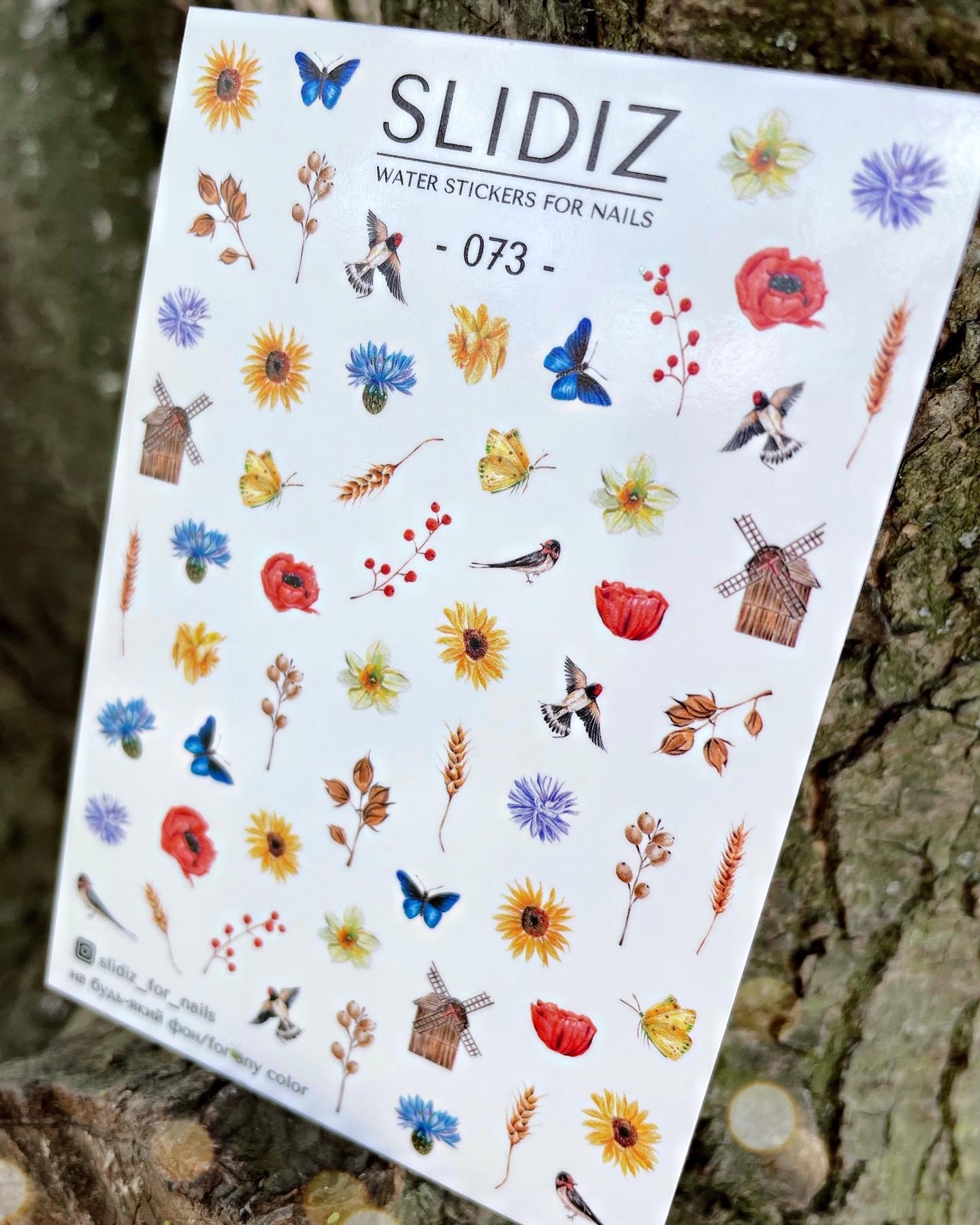 import placeholder for 1905 import placeholder for 1905