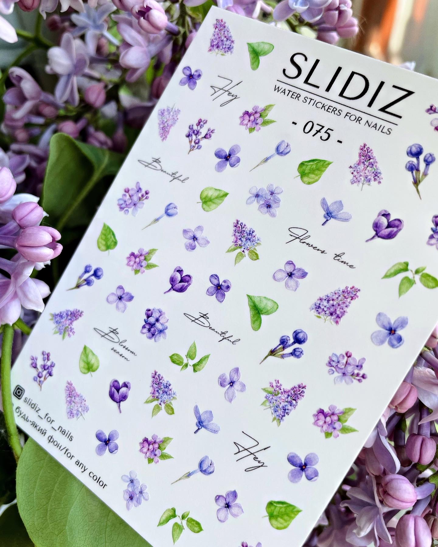 import placeholder for 1909 import placeholder for 1909