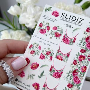 import placeholder for 1789