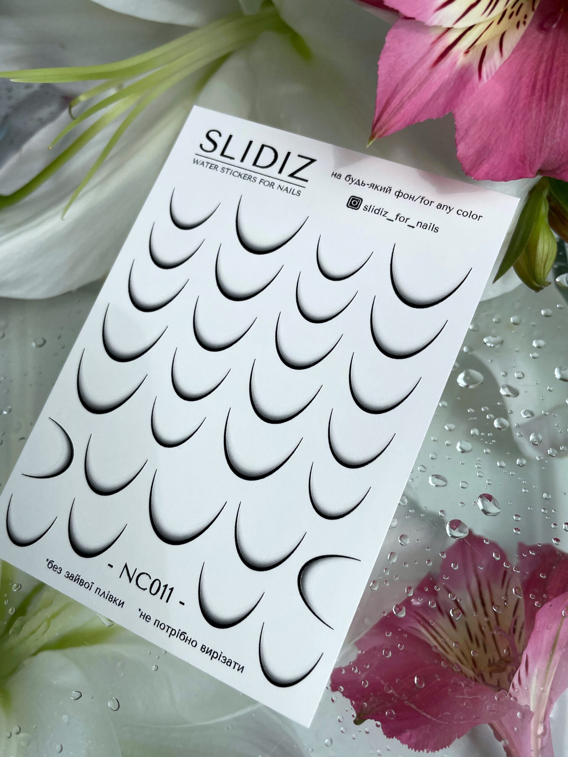 import placeholder for 1955 import placeholder for 1955